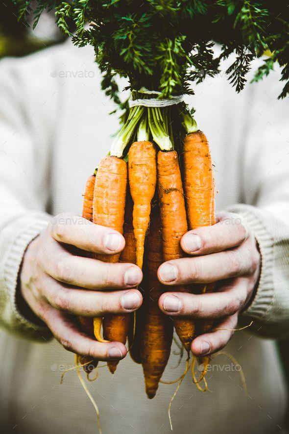 Green Bliss: Handpicked Symphony of Healthy Eats