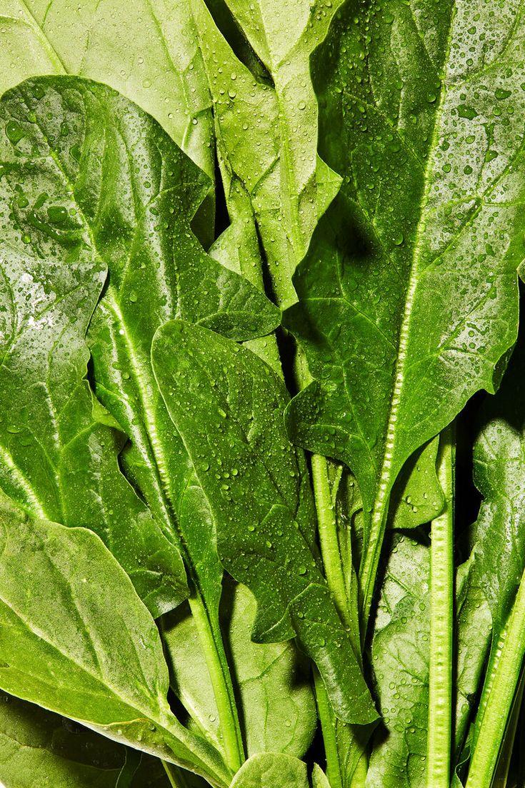 Garden Bounty: Nature's Vibrant Veggie Selection